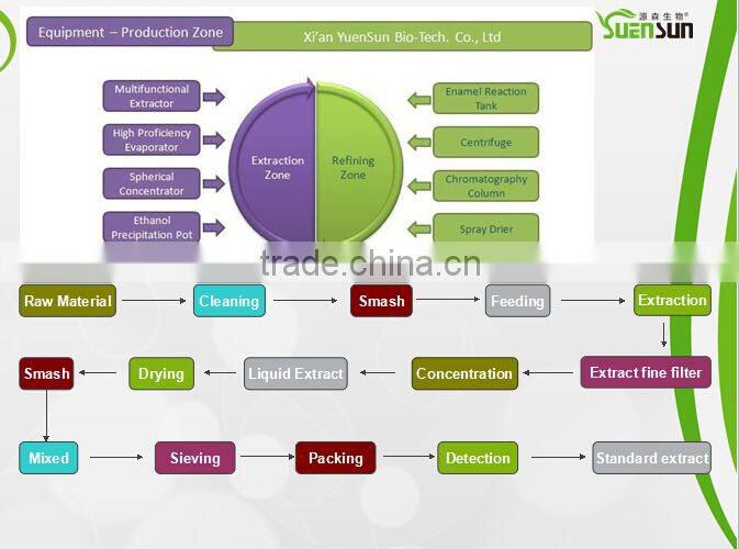 Top Quality From 11 Years experience manufacture ginseng powder