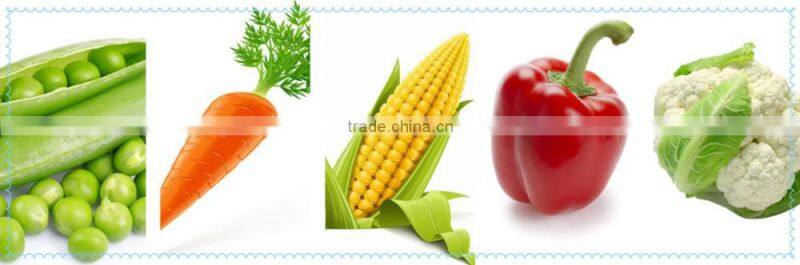 frozen IQF mixed vegetables with Kosher,BRC,HALAL certificates