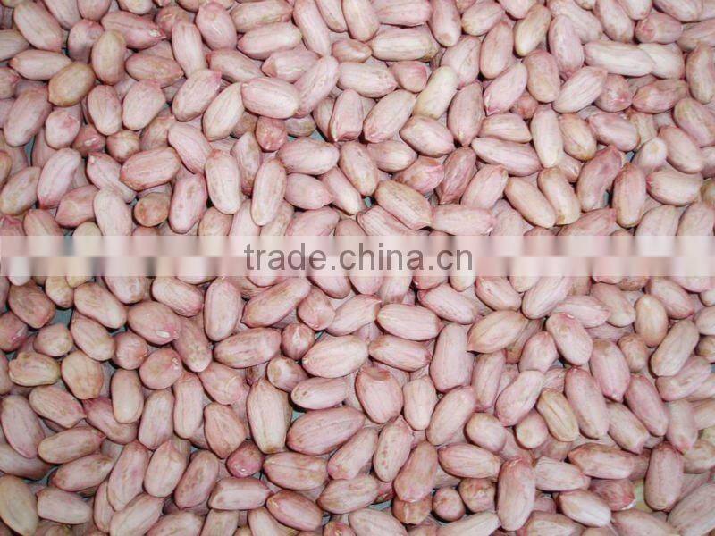 peanut producer peanut in shell 2012 crop