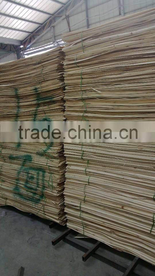 Poplar core for plywood