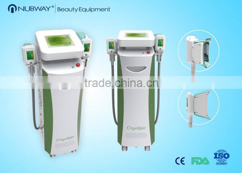 double handle work at the same time low price cryolipolysis fat freeze slimming machine