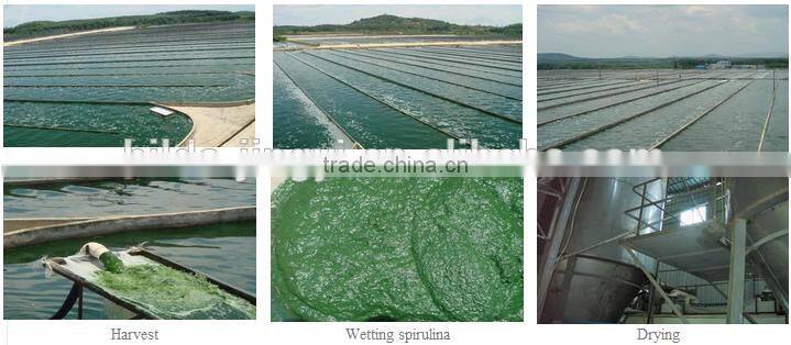 2017 Hot Sell Spirulina Powder at Competitive Price
