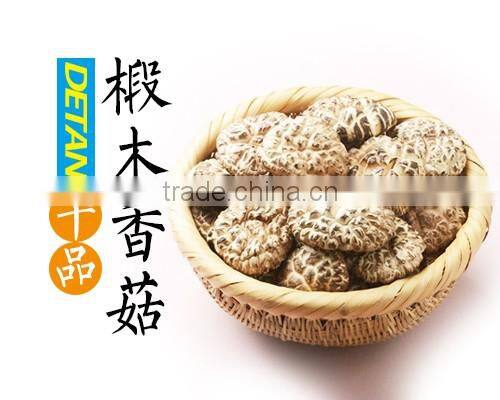 Dried Shitake Mushroom for Importer
