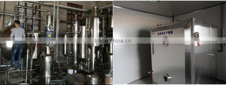 Beet Straight Powder