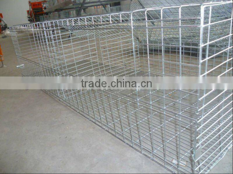 broiler chicken cage