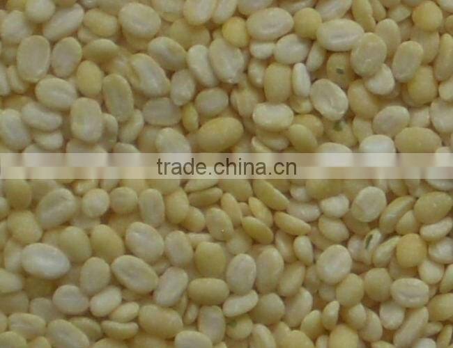 Jiexun automatic CCD mung bean color sorter