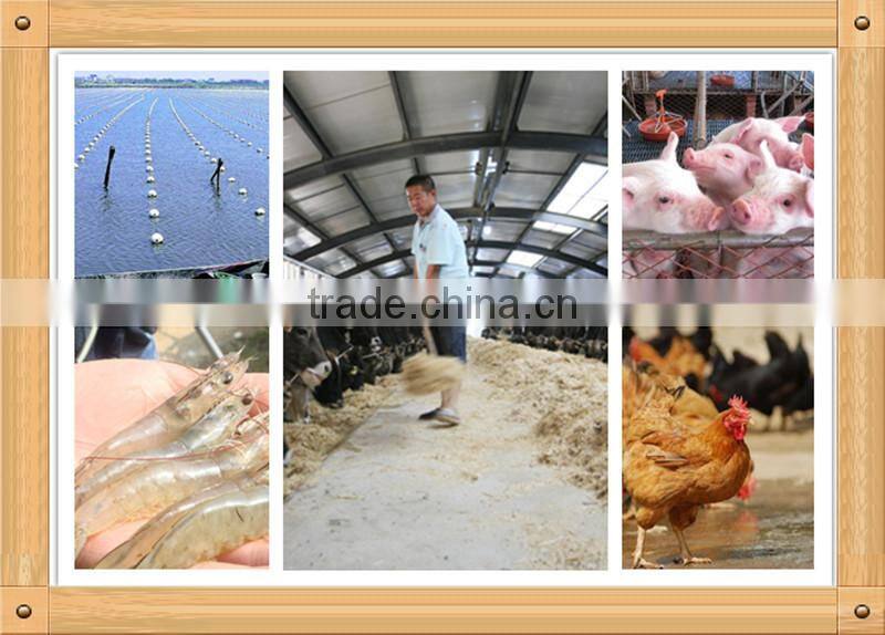 Best Quality 99% Feed Grade Ascorbic Acid / Vitamin C