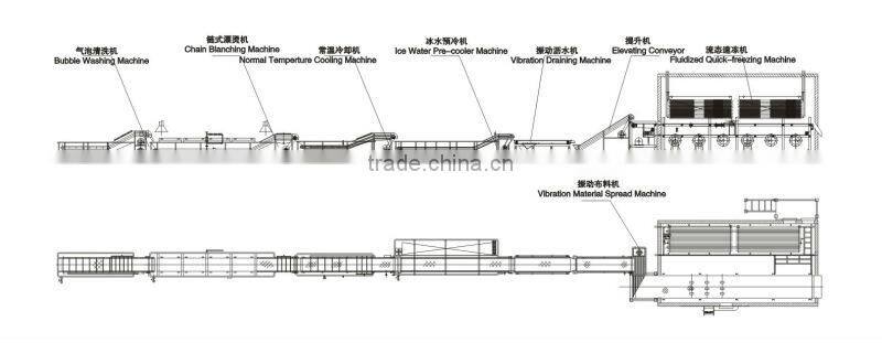 Newest design high quality tunnel quick freezing freezers food machinery
