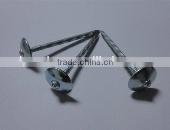 1"*11G Galvanized Umbrella Head Plain and Ring Shank Roofing Nail (factory)
