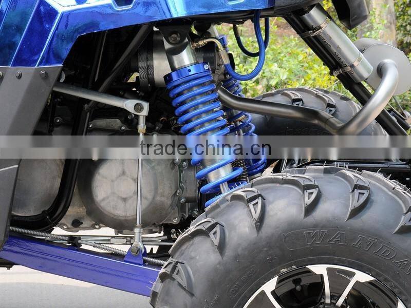 Latest Design 600cc 4x4 UTV SSV