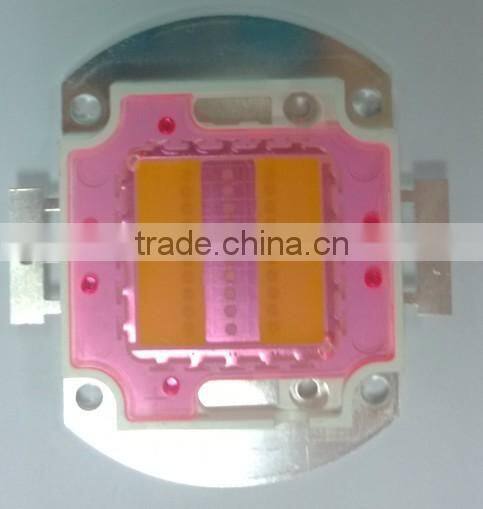 10000K Coral Reef Sunrise and Sunset LED Aquarium Light Full Spectrum,50W/100W/30W,500W.etc watts,2 years warranty