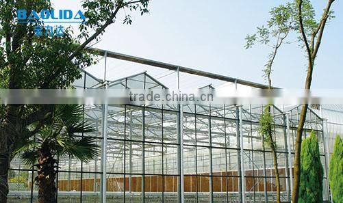 BaoLiDa large multi span tempered glass greenhose hot-dip galvanized steel tube structure mushroom greenhouse