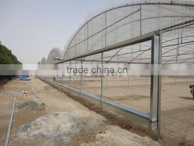 Multispan Greenhouse (Polycarbonate Valuview ROMA)