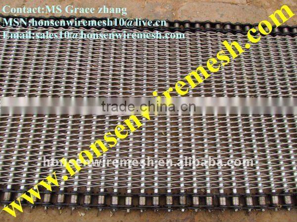 High Quality Best Price Conveyer belt mesh ( 15 years factory)