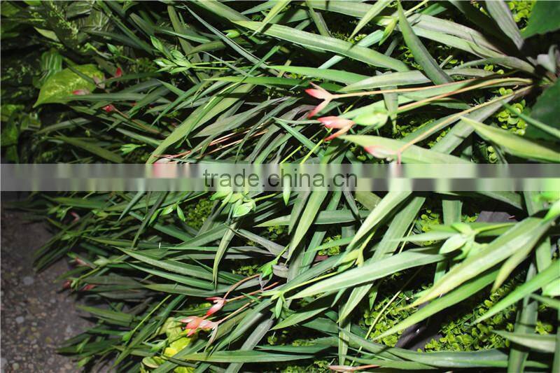 stickers home garden deco 200*200 cm indoor or outdoor artificial corner succulent green climbing plant wall Ezwq10 103