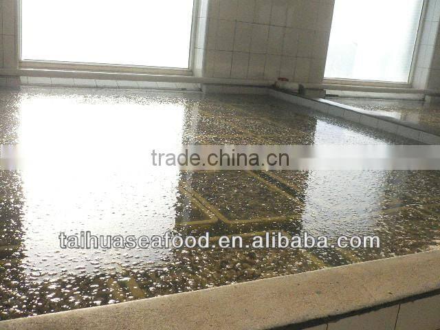 sea best frozen seafood conch