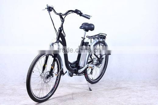 electric bike with brushess hub motor