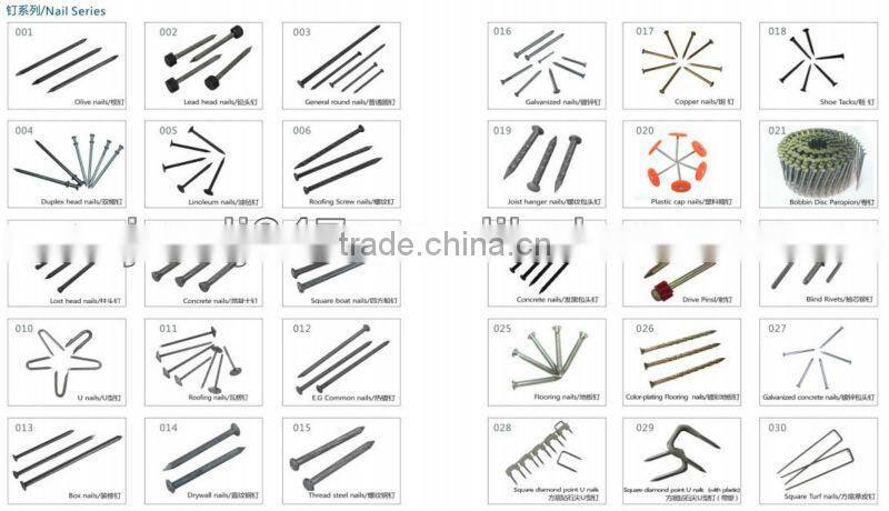 Copper roofing nails from Guangzhou supplier