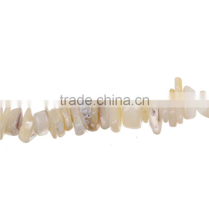 Shell Gemstone Loose Beads Irregular Natural