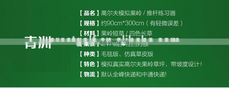 PGM Golf Putting Green Indoors Range Putter Mini Green