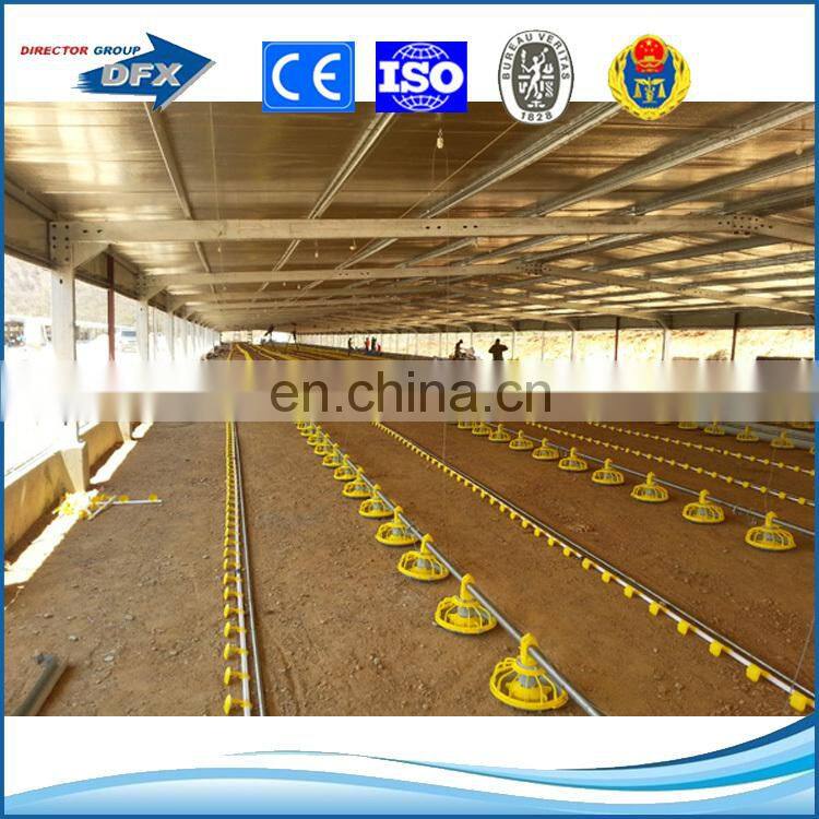 Commercial used steel trusses chicken broiler poultry shed design