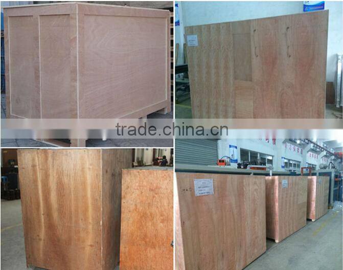 plastic vacuum forming machine / automatic vacuum forming machine