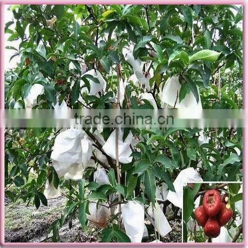 Nonwoven material Agricultural greenhouse