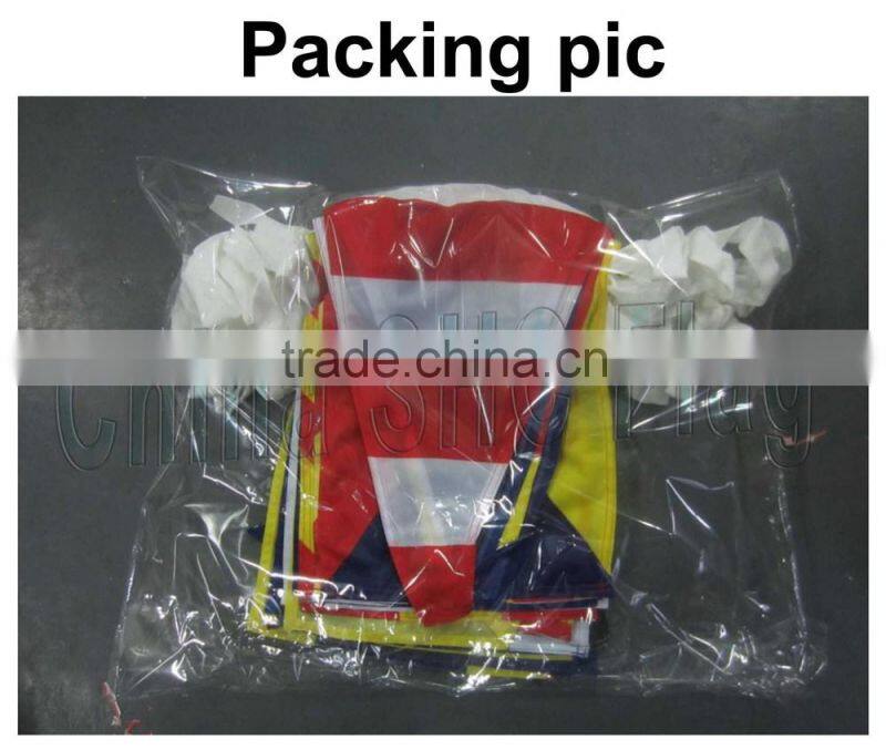 Promotion cheap fashionable and pretty hot flag bunting