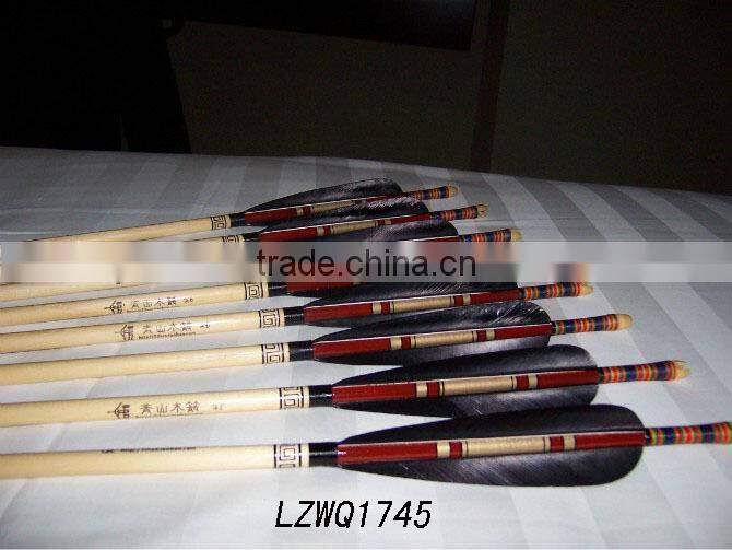 Feather Arrows LZWQ1764