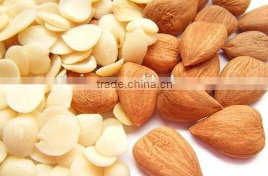 2-4MM NUTS CUTTER machine for peanut/ almond/ cashew for sale