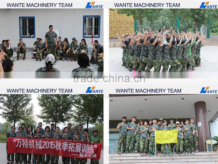 WT6-30 High quality hot sale concrete hollow blocks molds with design