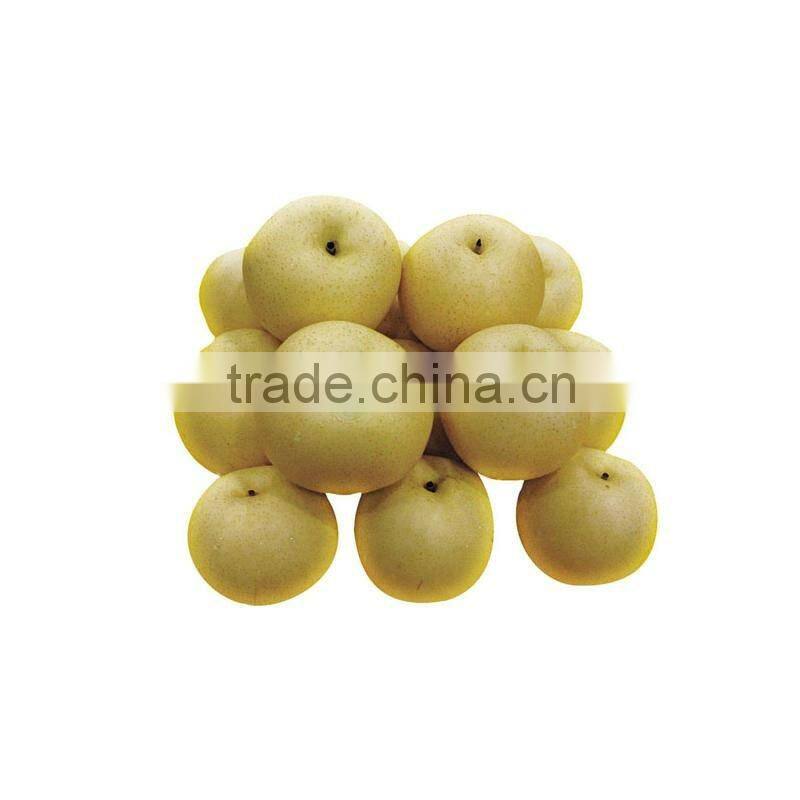 Canned Snow Pear Halves with Competitive Price