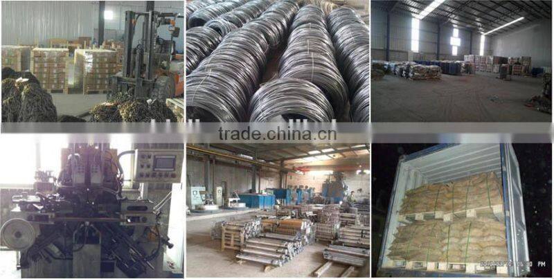 Chinli factory Galvanized Weldless single jack chain