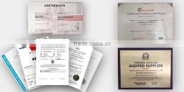 Pasmo! slush ice machine T613