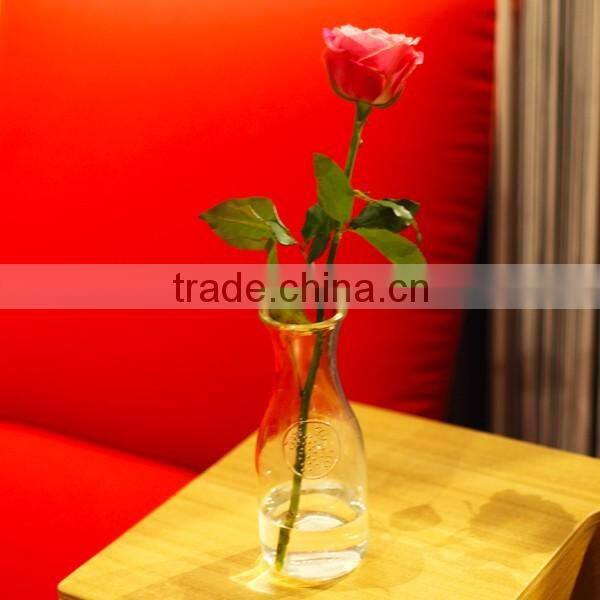 bulk wholesale clear glass terrarium / glass flower vases made in China