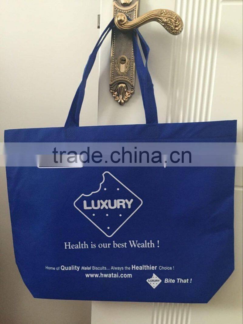 Nice Folding Non Woven Bag