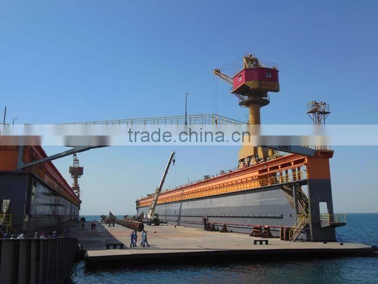 Telescope Boom Marine Crane