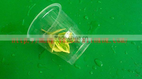 8oz disposable transparent plastic cup