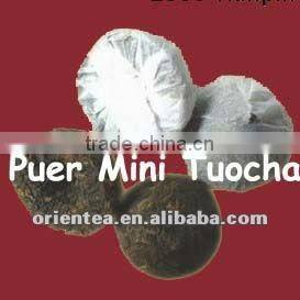 yunnan puerh tea mini puer tuocha