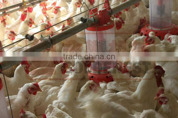 breeder metering cylinder feeding system