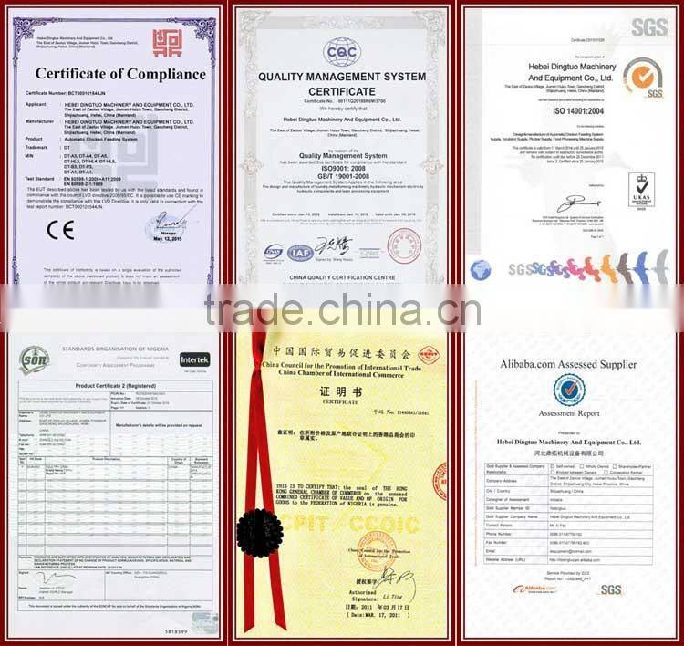 20 years lifespan A type of poultry egg chicken layer cage price