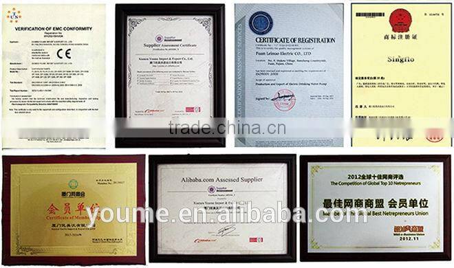 115V Pump urea with USA plug