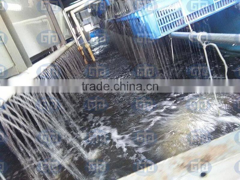 Aquaculture drum filter for water treament