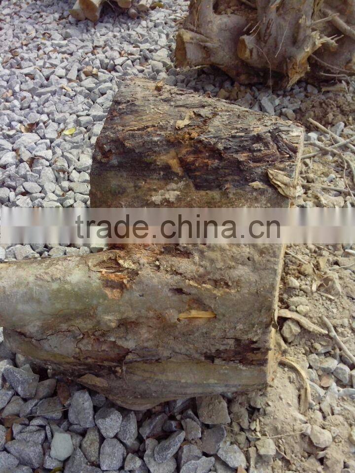 Wood Logs diesel wood chipper