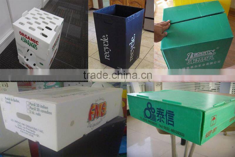 Corflute Sheet/Coroplast Sheet/Corrugated Plastic Sheet