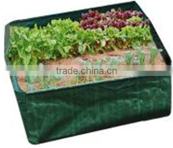 Convenient Green Vegetable Grow Bag