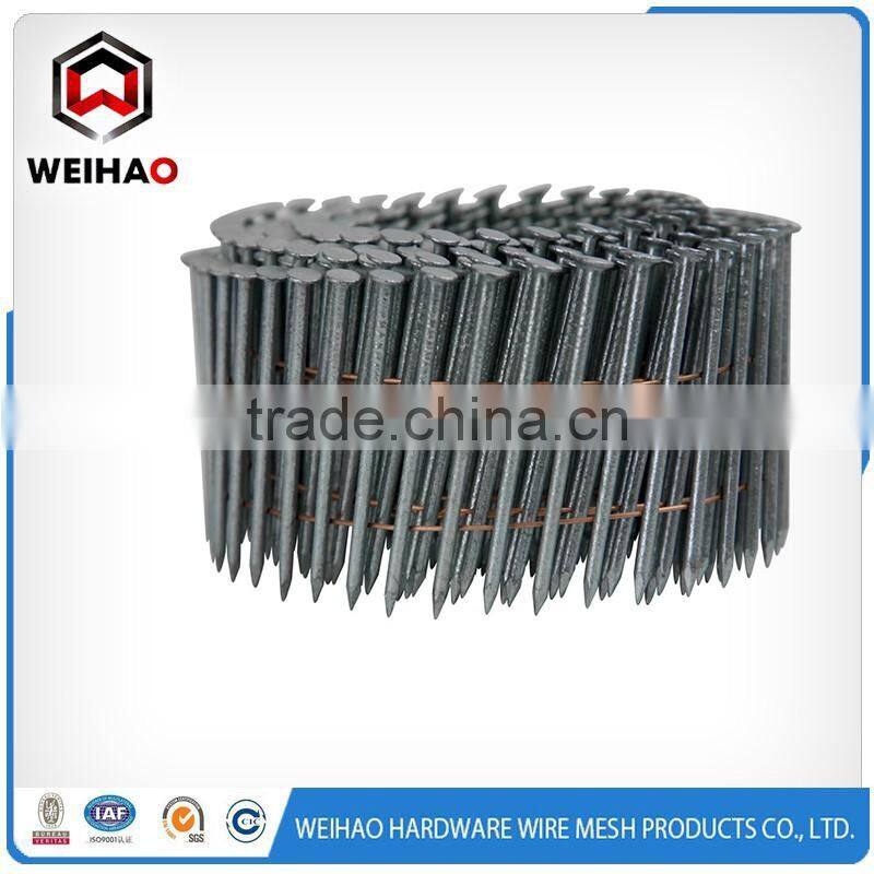 galvanized twisted nails coil nail yellow zinc plated