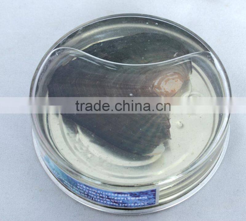 (June) Cancer wish pearl gift (English version)