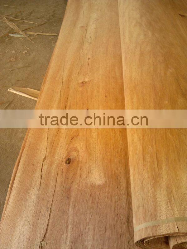 EV/NATURA VENEER