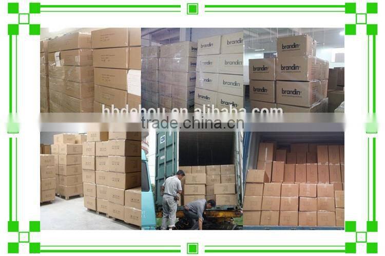 New Fashion Standard Design Top Quality Women Shoes Casual Sneakers